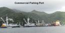Fishing port in Pago Pago Harbor